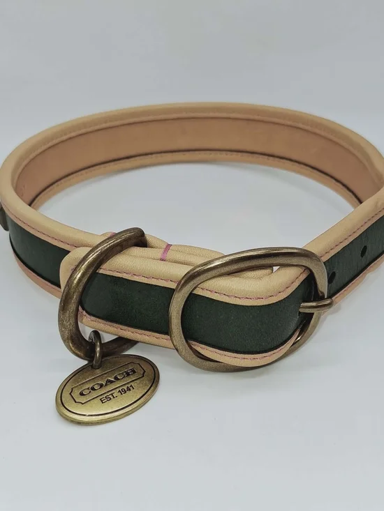 Coach Green and Natural Leather Dog Collar with Brass Medallion - Picture 9 of 9